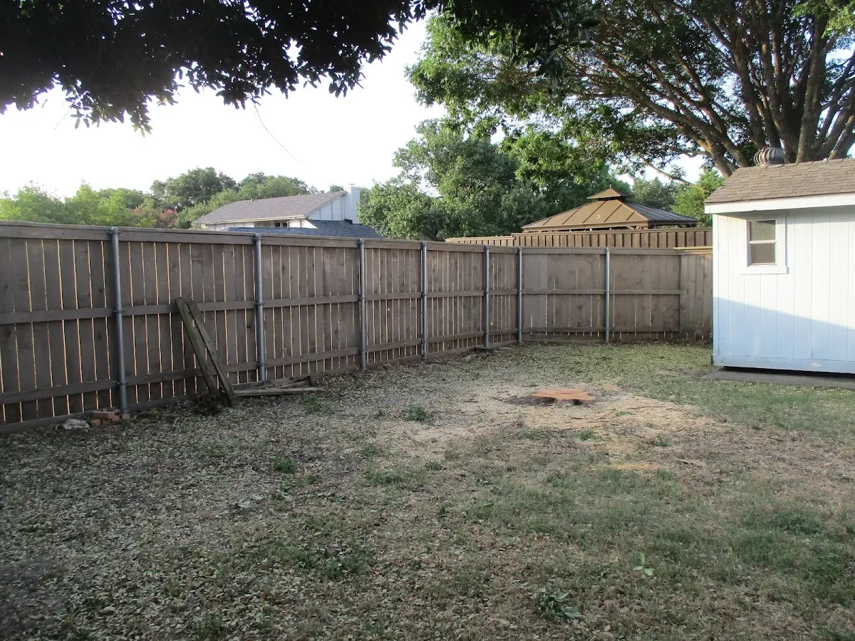Cleared yard after professional tree removal in Centerport