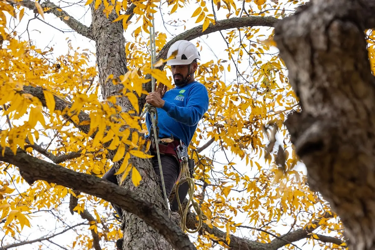 Skilled Storm Damage Cleanup crew working in Centerport